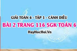 Giải bài 2 trang 116 Toán 6 Tập 1 SGK Cánh Diều: Tư duy hình học